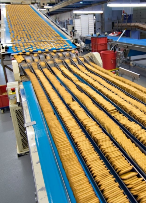 ERIKS Food – Lebensmittelsicherheit garantieren Lebensmittel auf einem Flieeßband